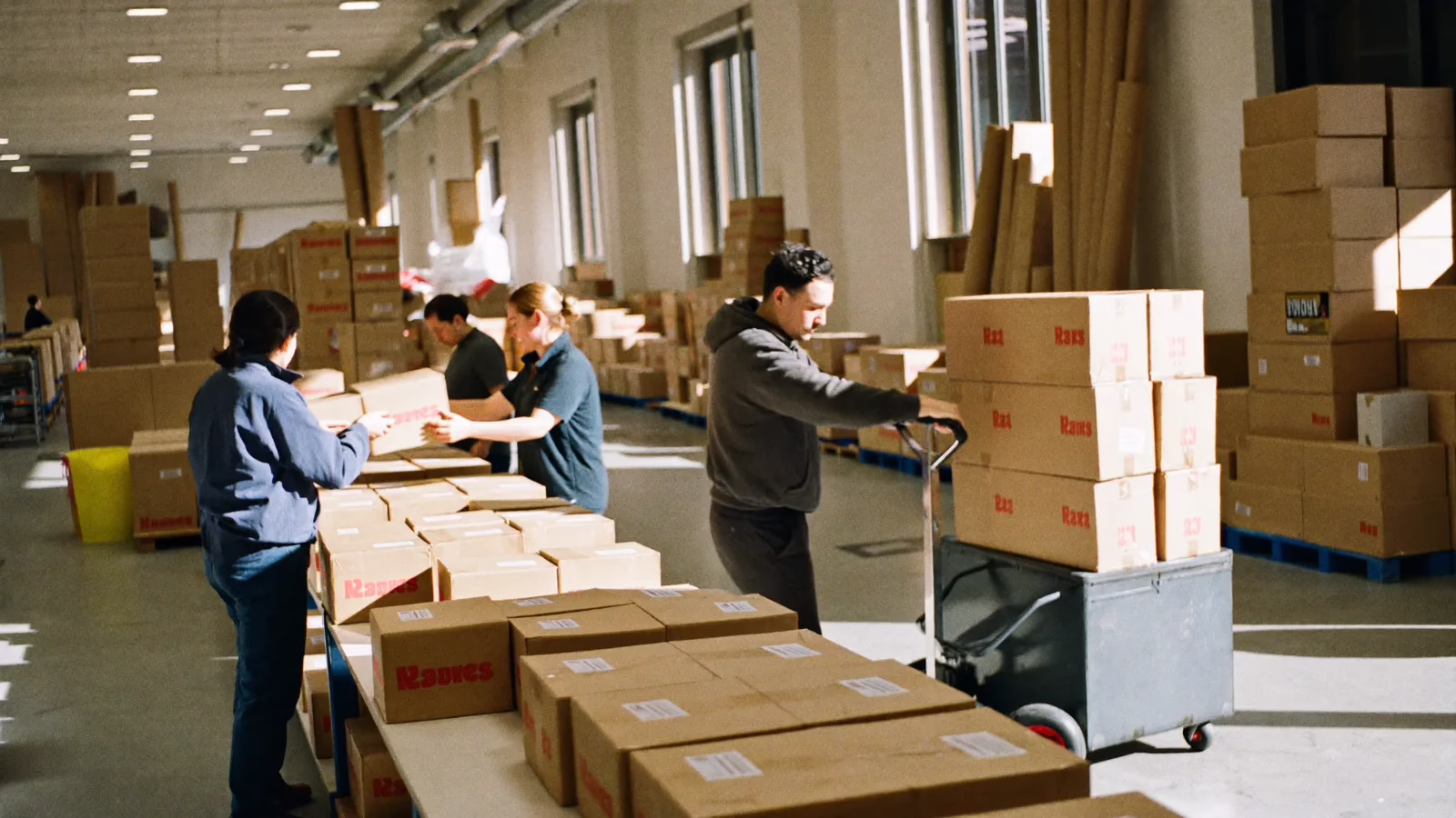 Packhall i dagsljus där flera medarbetare fyller kartonger längs en lång bänk